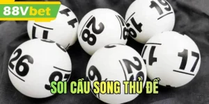 Soi Cầu Song Thủ Đề - Bí Quyết Nuôi Dàn Trúng Lớn Hiệu Quả